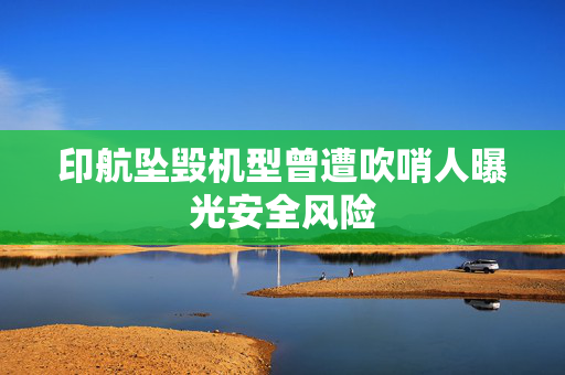 印航坠毁机型曾遭吹哨人曝光安全风险