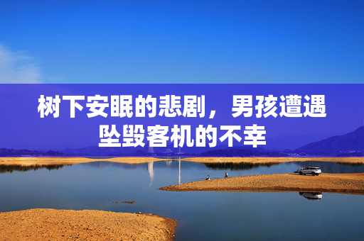 树下安眠的悲剧，男孩遭遇坠毁客机的不幸