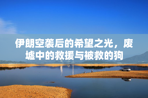 伊朗空袭后的希望之光，废墟中的救援与被救的狗