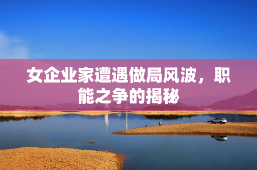 女企业家遭遇做局风波，职能之争的揭秘