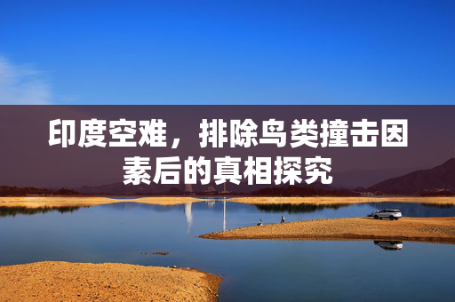 印度空难，排除鸟类撞击因素后的真相探究