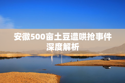 安徽500亩土豆遭哄抢事件深度解析