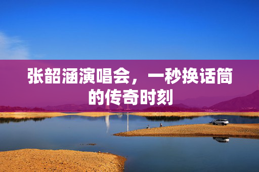 张韶涵演唱会，一秒换话筒的传奇时刻