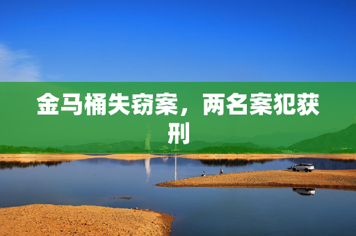 金马桶失窃案，两名案犯获刑