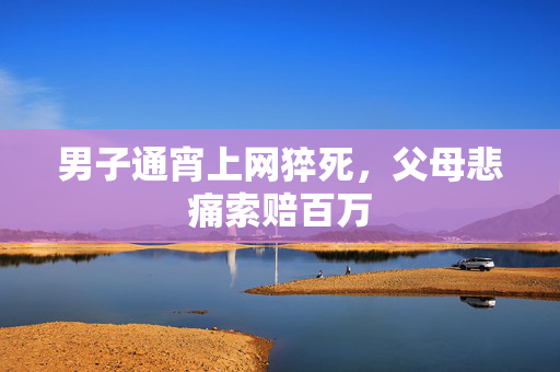 男子通宵上网猝死，父母悲痛索赔百万