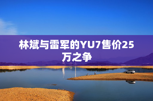 林斌与雷军的YU7售价25万之争