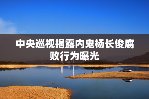 中央巡视揭露内鬼杨长俊腐败行为曝光
