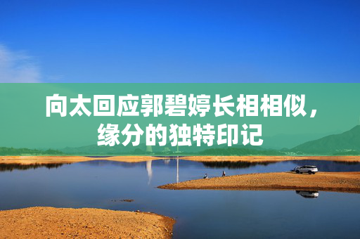 向太回应郭碧婷长相相似，缘分的独特印记
