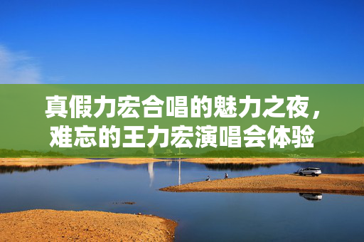 真假力宏合唱的魅力之夜，难忘的王力宏演唱会体验