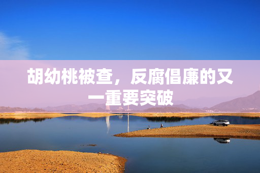 胡幼桃被查，反腐倡廉的又一重要突破