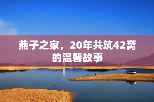 燕子之家，20年共筑42窝的温馨故事