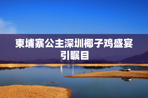 柬埔寨公主深圳椰子鸡盛宴引瞩目