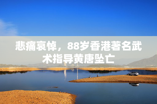 悲痛哀悼，88岁香港著名武术指导黄唐坠亡