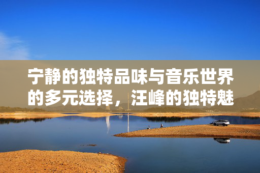 宁静的独特品味与音乐世界的多元选择，汪峰的独特魅力未获宁静青睐