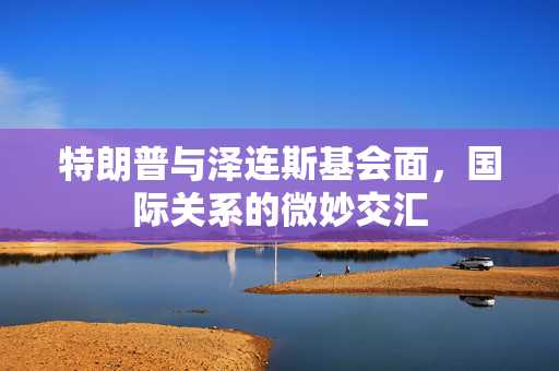 特朗普与泽连斯基会面，国际关系的微妙交汇