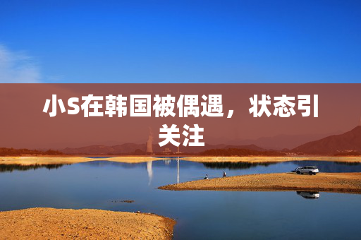 小S在韩国被偶遇，状态引关注