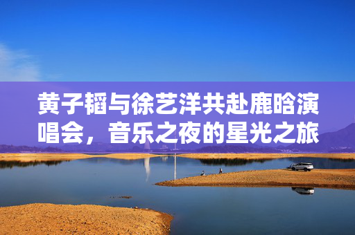 黄子韬与徐艺洋共赴鹿晗演唱会，音乐之夜的星光之旅