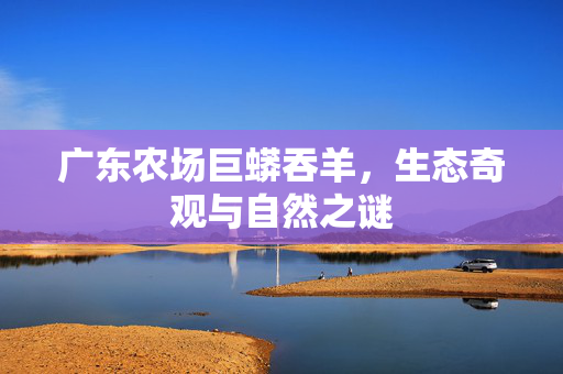 广东农场巨蟒吞羊，生态奇观与自然之谜