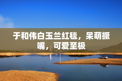 于和伟白玉兰红毯，呆萌撅嘴，可爱至极