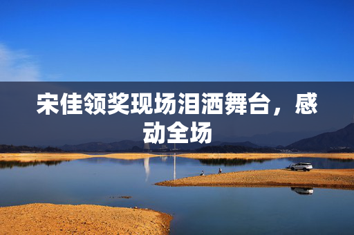 宋佳领奖现场泪洒舞台，感动全场