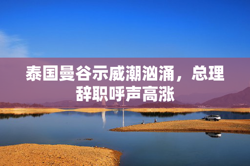 泰国曼谷示威潮汹涌，总理辞职呼声高涨