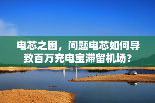 电芯之困，问题电芯如何导致百万充电宝滞留机场？