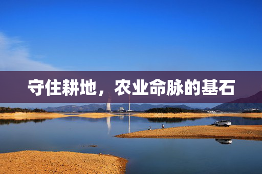 守住耕地，农业命脉的基石