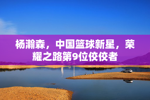杨瀚森，中国篮球新星，荣耀之路第9位佼佼者