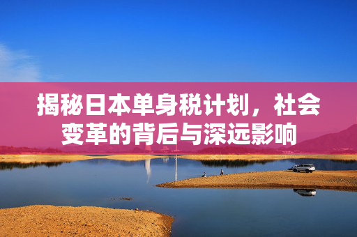 揭秘日本单身税计划，社会变革的背后与深远影响