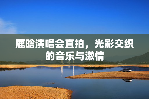 鹿晗演唱会直拍，光影交织的音乐与激情