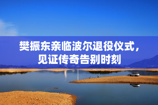 樊振东亲临波尔退役仪式，见证传奇告别时刻