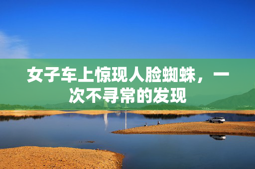 女子车上惊现人脸蜘蛛，一次不寻常的发现