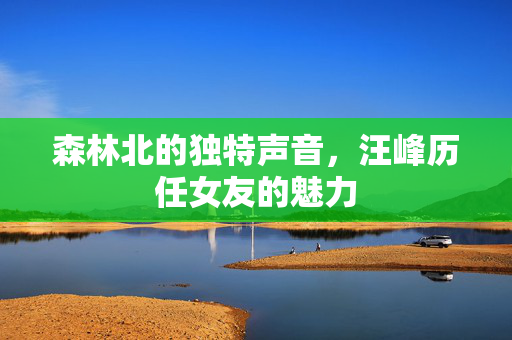 森林北的独特声音，汪峰历任女友的魅力