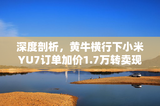 深度剖析，黄牛横行下小米YU7订单加价1.7万转卖现象的背后原因