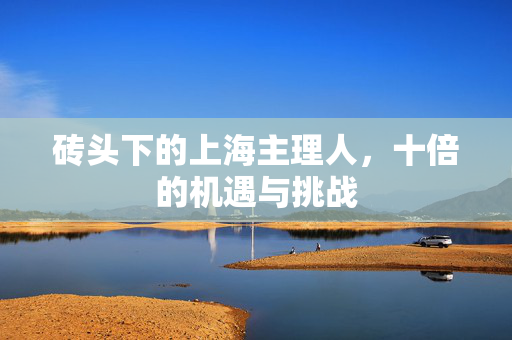 砖头下的上海主理人，十倍的机遇与挑战