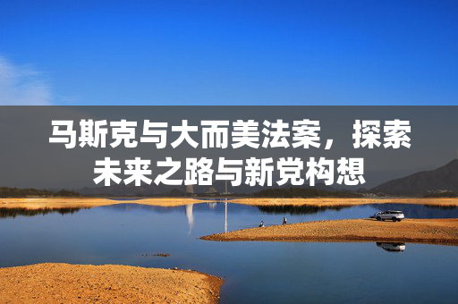 马斯克与大而美法案，探索未来之路与新党构想