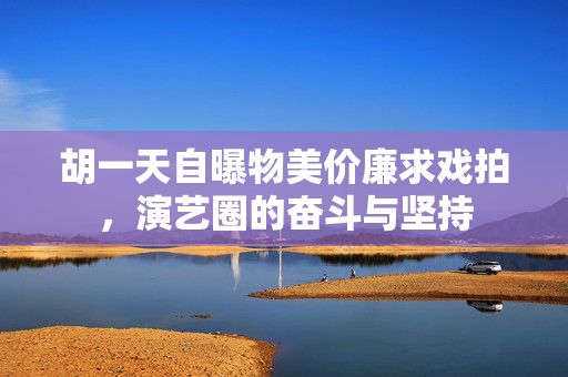 胡一天自曝物美价廉求戏拍，演艺圈的奋斗与坚持