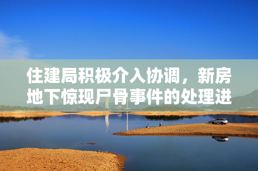 住建局积极介入协调，新房地下惊现尸骨事件的处理进展