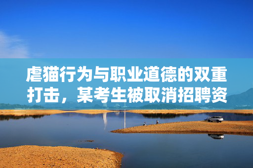 虐猫行为与职业道德的双重打击，某考生被取消招聘资格的深刻教训
