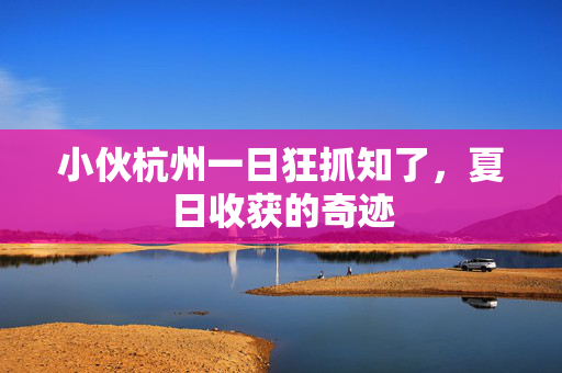 小伙杭州一日狂抓知了，夏日收获的奇迹