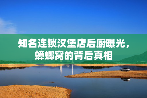 知名连锁汉堡店后厨曝光，蟑螂窝的背后真相
