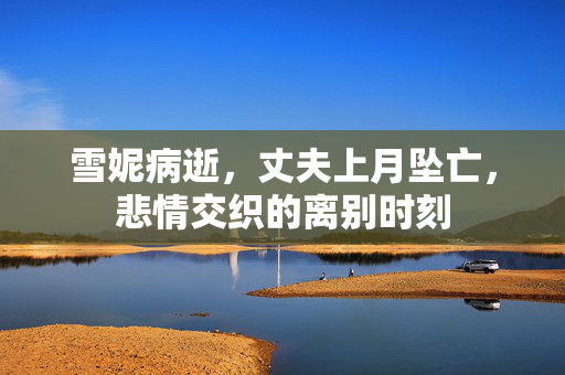 雪妮病逝，丈夫上月坠亡，悲情交织的离别时刻