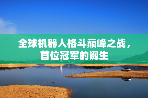 全球机器人格斗巅峰之战，首位冠军的诞生