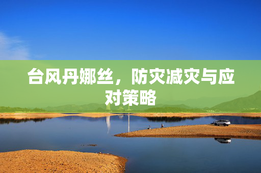 台风丹娜丝，防灾减灾与应对策略
