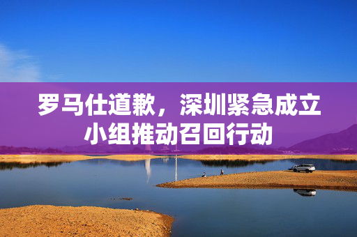罗马仕道歉，深圳紧急成立小组推动召回行动
