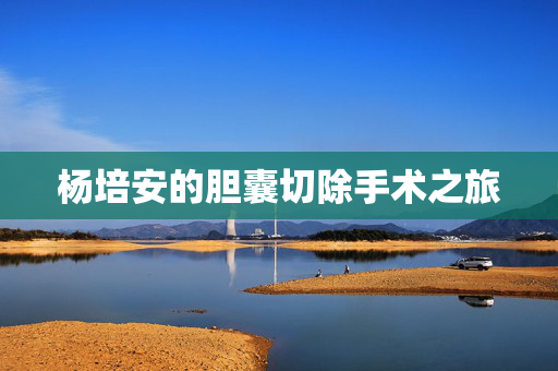 杨培安的胆囊切除手术之旅