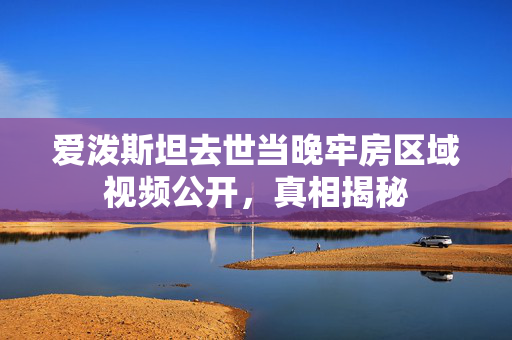 爱泼斯坦去世当晚牢房区域视频公开，真相揭秘