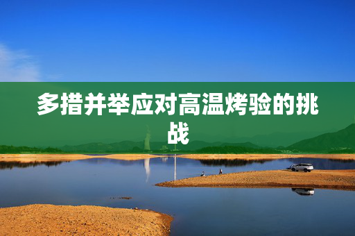 多措并举应对高温烤验的挑战