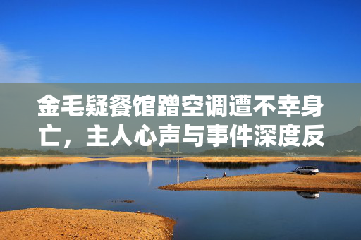 金毛疑餐馆蹭空调遭不幸身亡，主人心声与事件深度反思