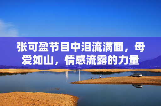 张可盈节目中泪流满面，母爱如山，情感流露的力量